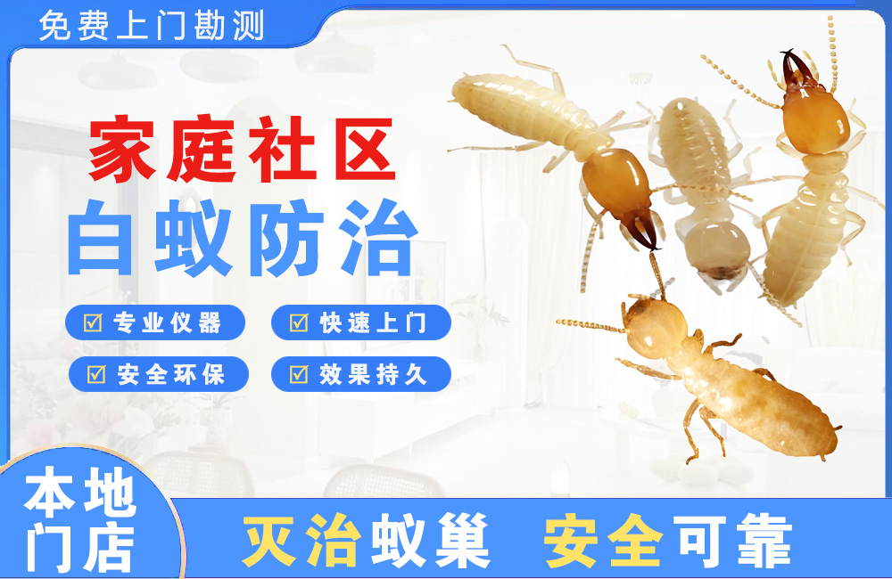 丹江口家庭社区白蚁防治