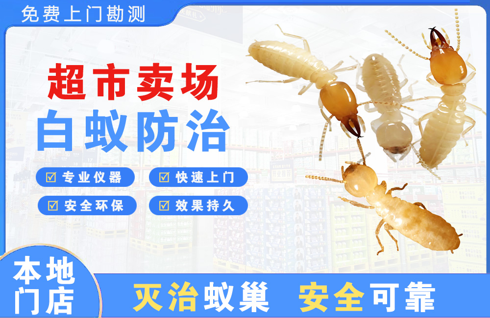 丹江口超市卖场白蚁防治