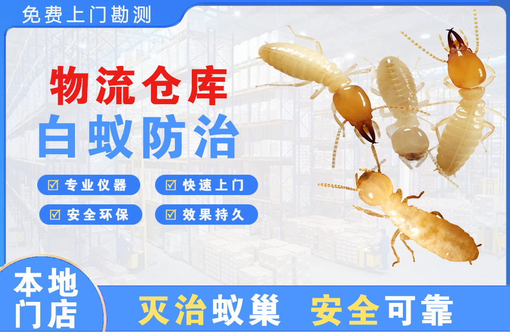 丹江口物流仓库白蚁防治