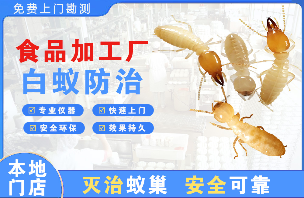丹江口食品加工厂白蚁防治