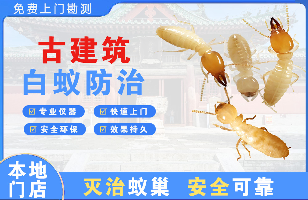 丹江口古建筑白蚁防治