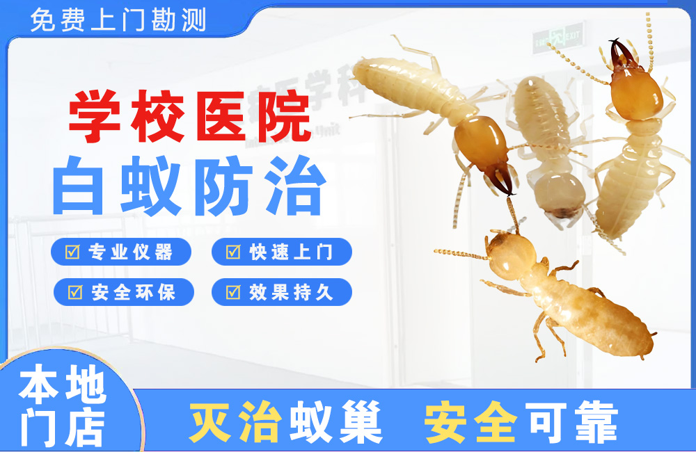 丹江口学校医院白蚁防治