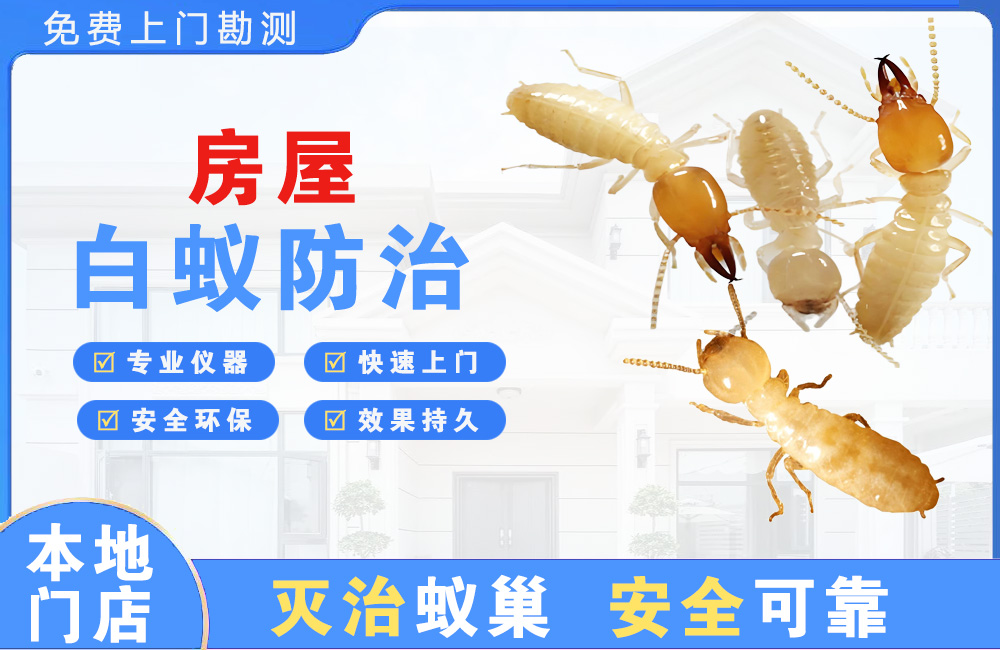 丹江口房屋白蚁防治