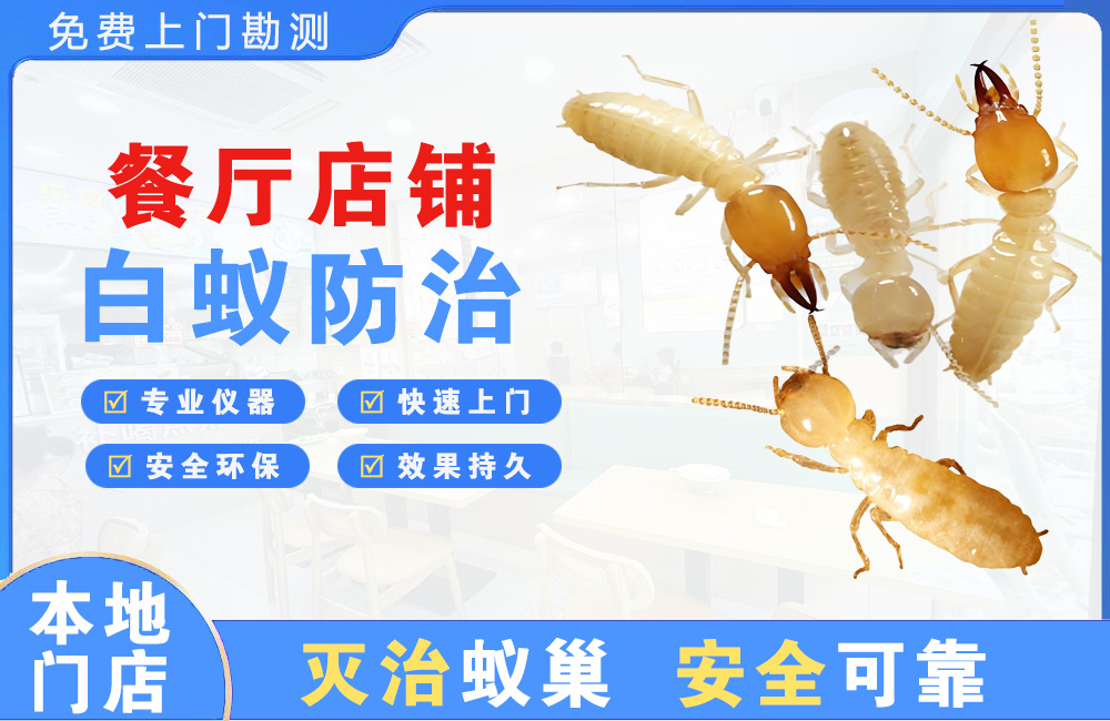 丹江口餐厅店铺白蚁防治